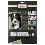 Nassau fine art paint by number dog