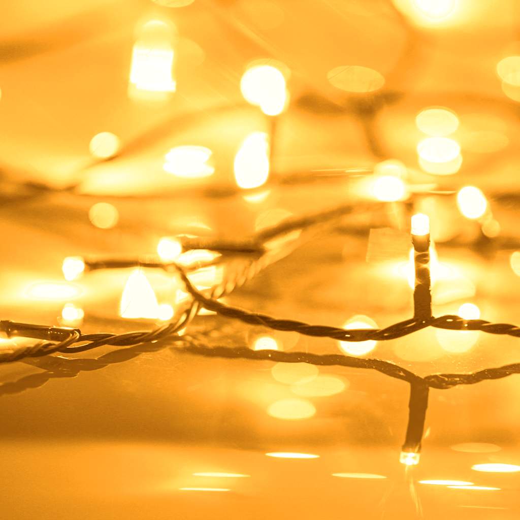 Vidaxl Light Cord 2000 LEDS til indvendigt og udvendigt IP44 200 m varmt hvidt