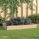 Vidaxl Planter je dvignil 100x150 cm trden bor