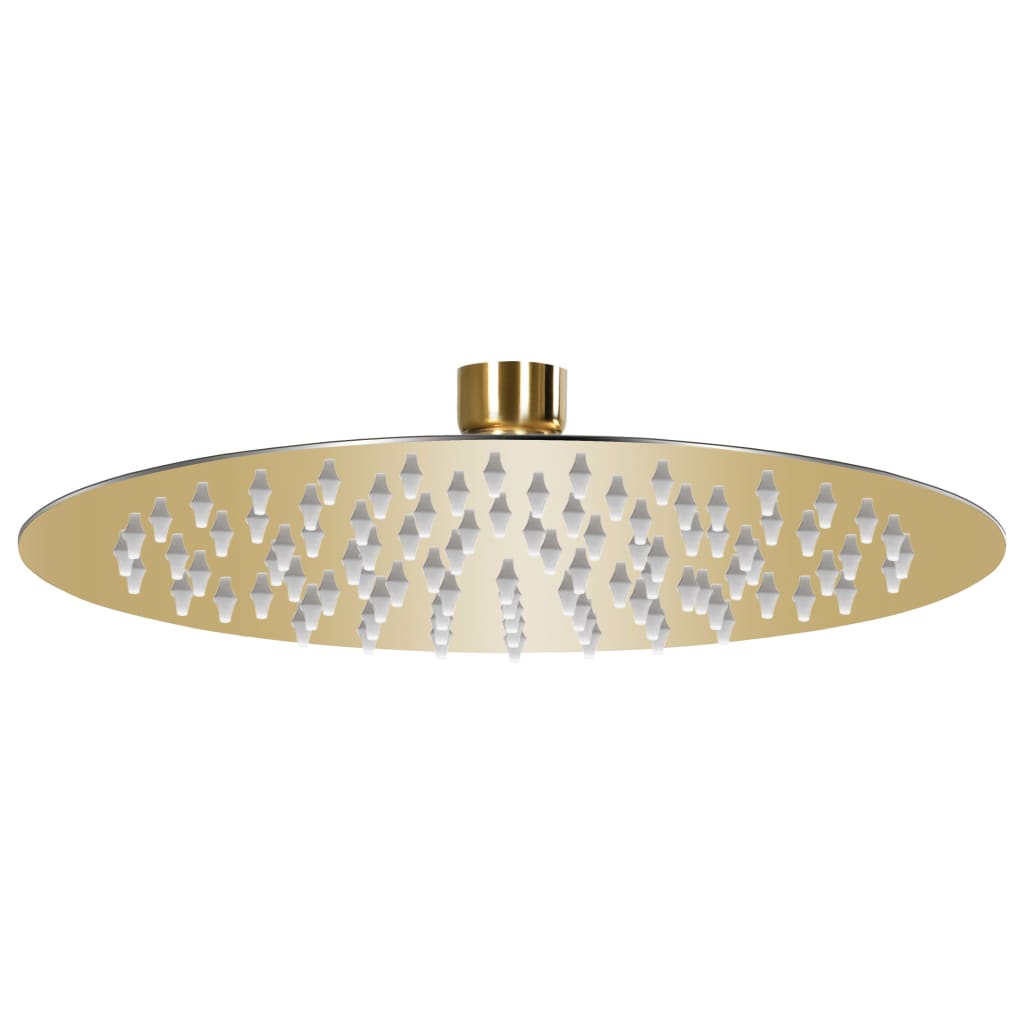 Vidaxl Rain Bruser Hoved Runde 20 cm Rustfrit stål guldfarvet