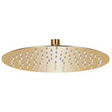 Vidaxl Pluie Shower Head Round 25 cm en acier inoxydable or couleur or