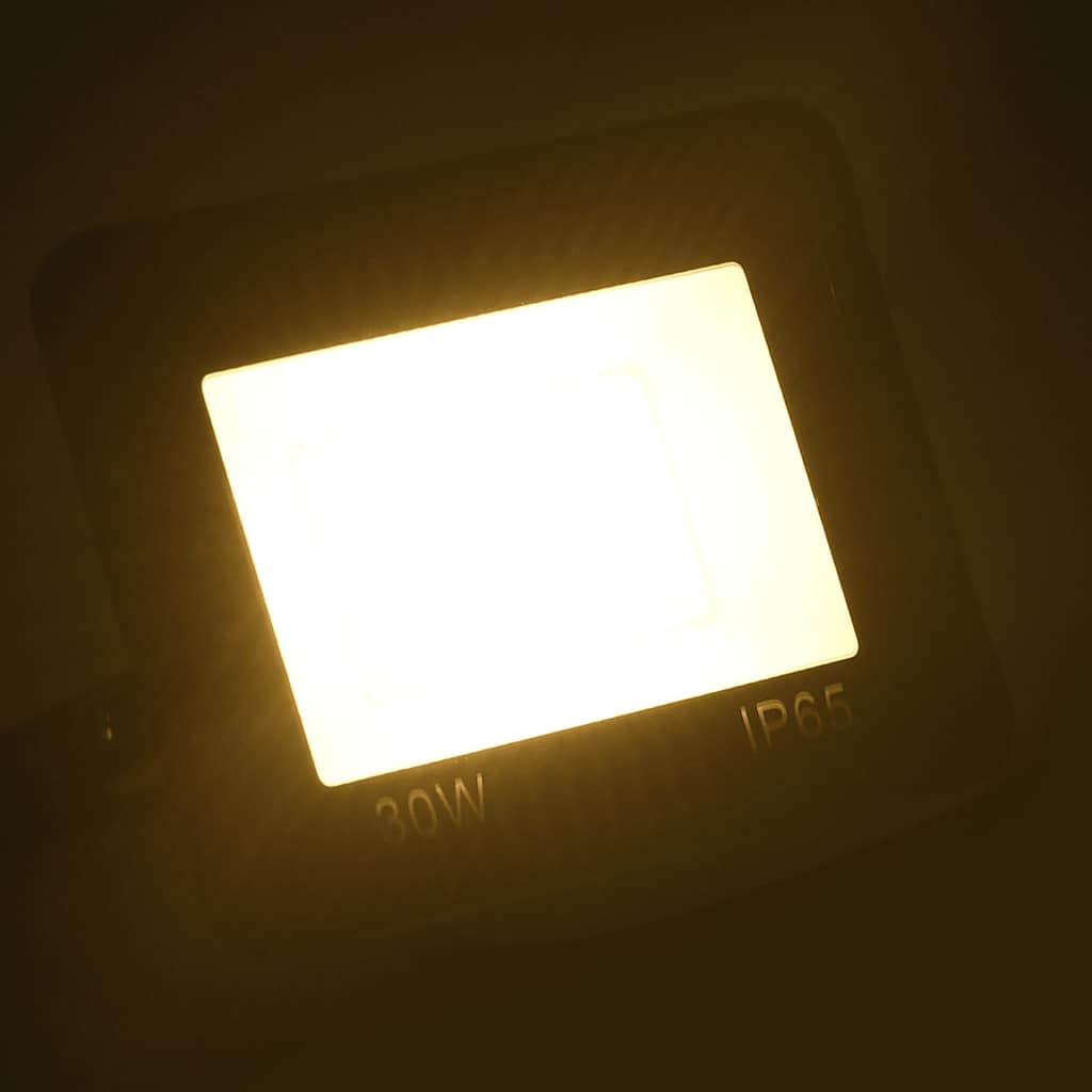 Vidaxl Spotlight LED 30 W blanc chaud