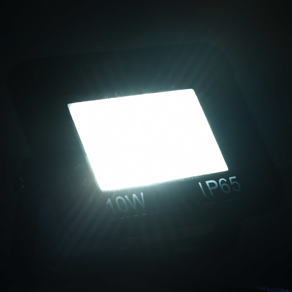 Vidaxl Spotlights 2 st LED 10 W kaldt hvitt