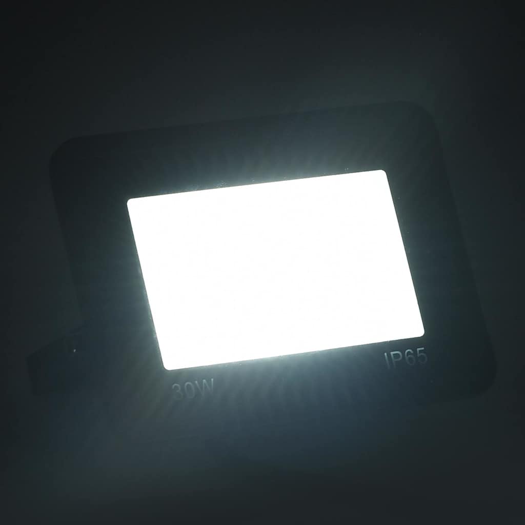 Vidaxl Spotlight LED 30 W kaldt hvitt