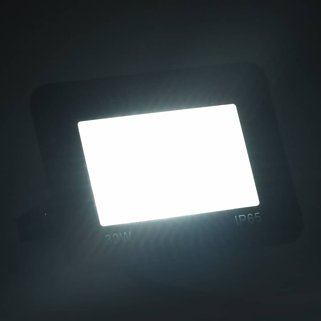 Vidaxl Spotlights 2 st LED 30 W kaldt hvitt