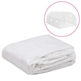 Vidaxl Kashoes replacement (13.5 m²) 3x4.5x2 m Transparent