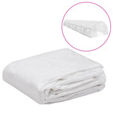 Vidaxl Kashoes replacement (36 m²) 3x12x2 m Transparent