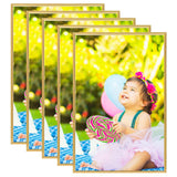 Foto rámečky Vidaxl 5 ks pro zeď nebo tabulku 59.4x84 cm mdf zlaté barvy