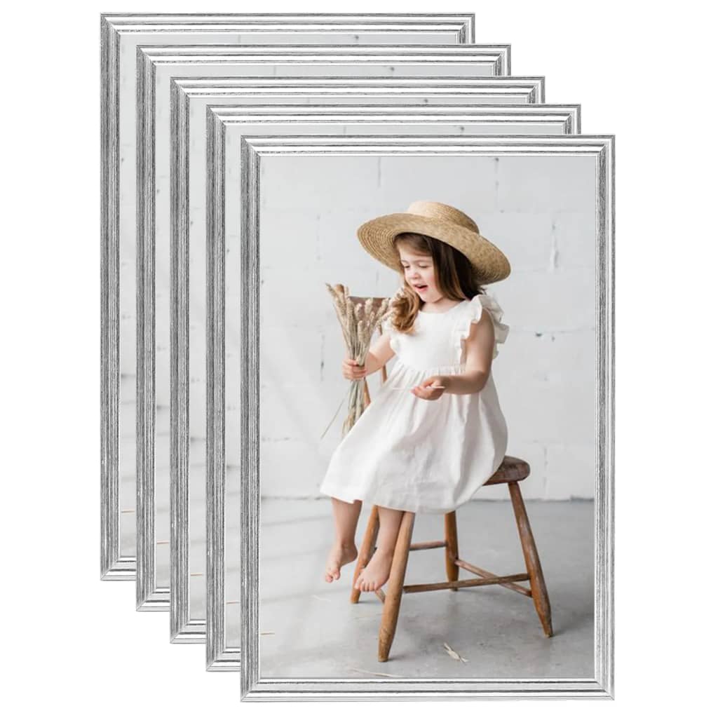 Vidaxl fotogrammi fotografici 5 pezzi per parete o tabella 59.4x84 cm di colore argento