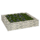 Vidaxl Gabion Fiorter ha raccolto acciaio zincato 100x100x20 cm