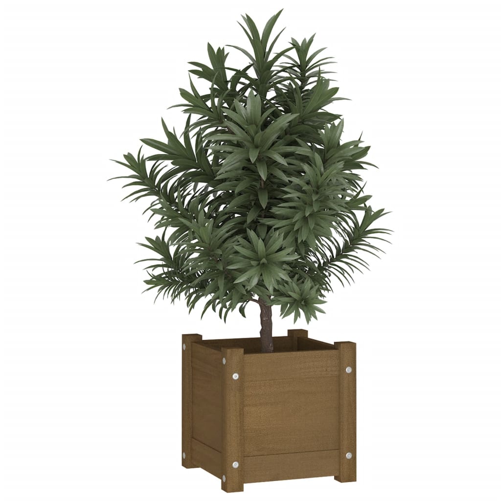 VidaXL Planning box 31x31x31 cm Solid pine honey brown