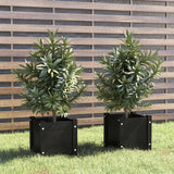 Vidaxl sadilniki 2 pcs 31x31x31 cm trden borov bone črna