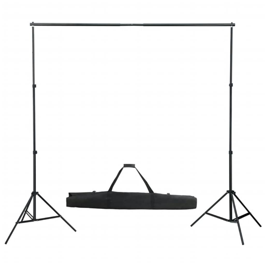 VidaXL Photo Studio Kit with Lighting Kit, Background and Reflector