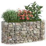 Vidaxl raised gabion planter 120x50x50 cm galvanized iron