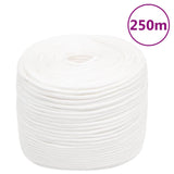 Vidaxl čolna vrvi 6 mm 250 m polipropilen polno bela