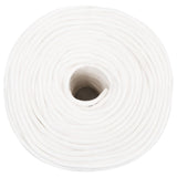 Vidaxl čolna vrvi 6 mm 250 m polipropilen polno bela