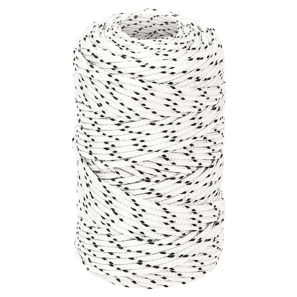 Vidaxl boottouw gevlochten 2 mm x 500 m polyester wit