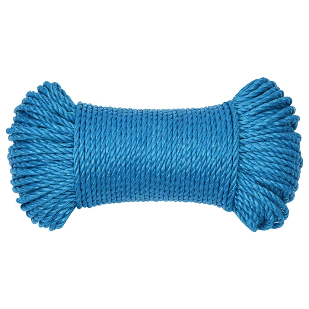 Vidaxl Werkouw 3 mm 25 m blu polipropene