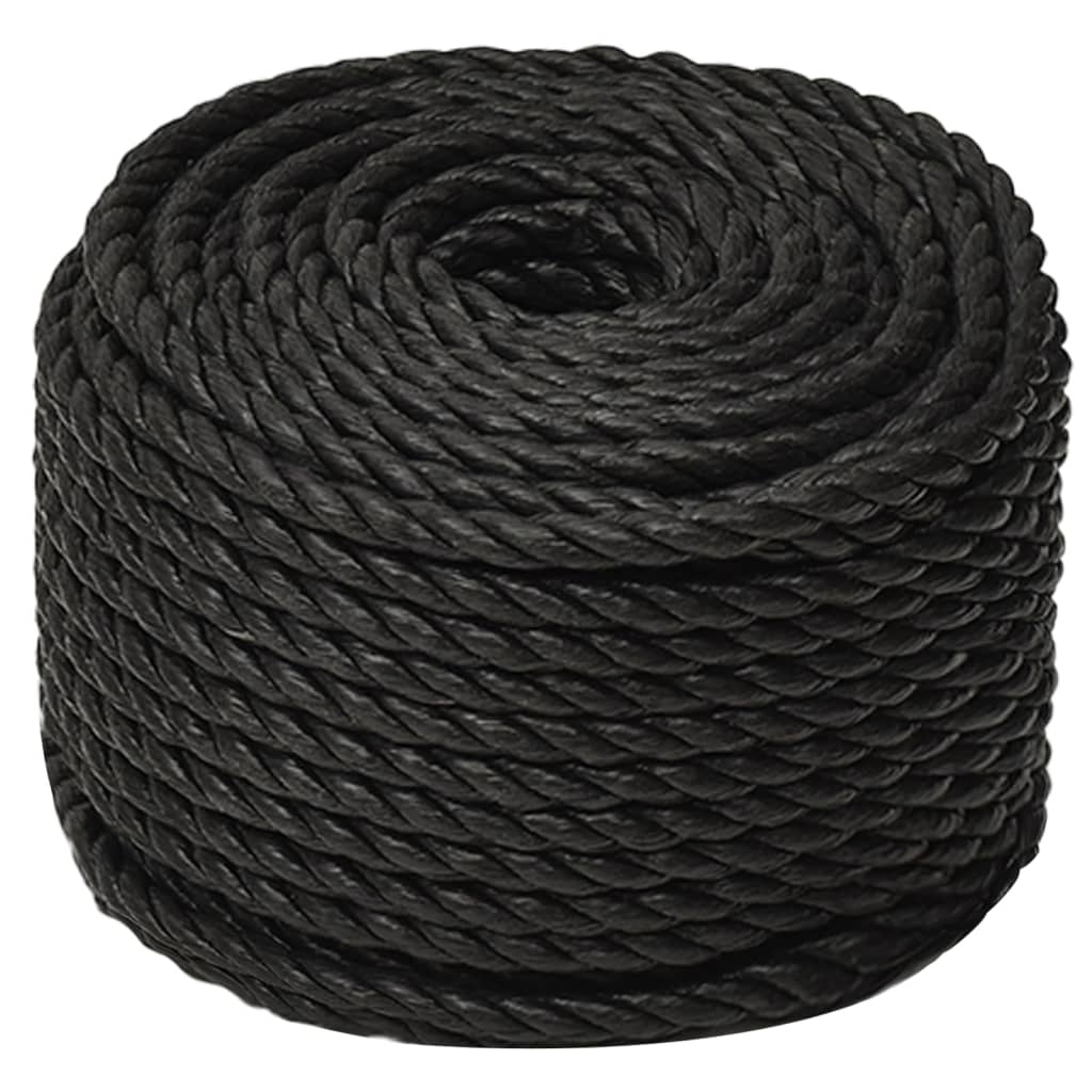 Vidaxl werkouw 10 mm 50 m Polyprope schwaarz