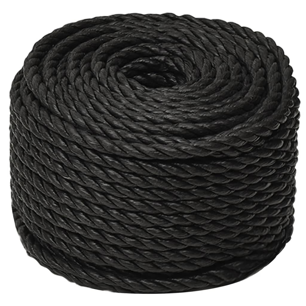 Vidaxl werkouw 12 m mm 25 m Polroprope schwaarz