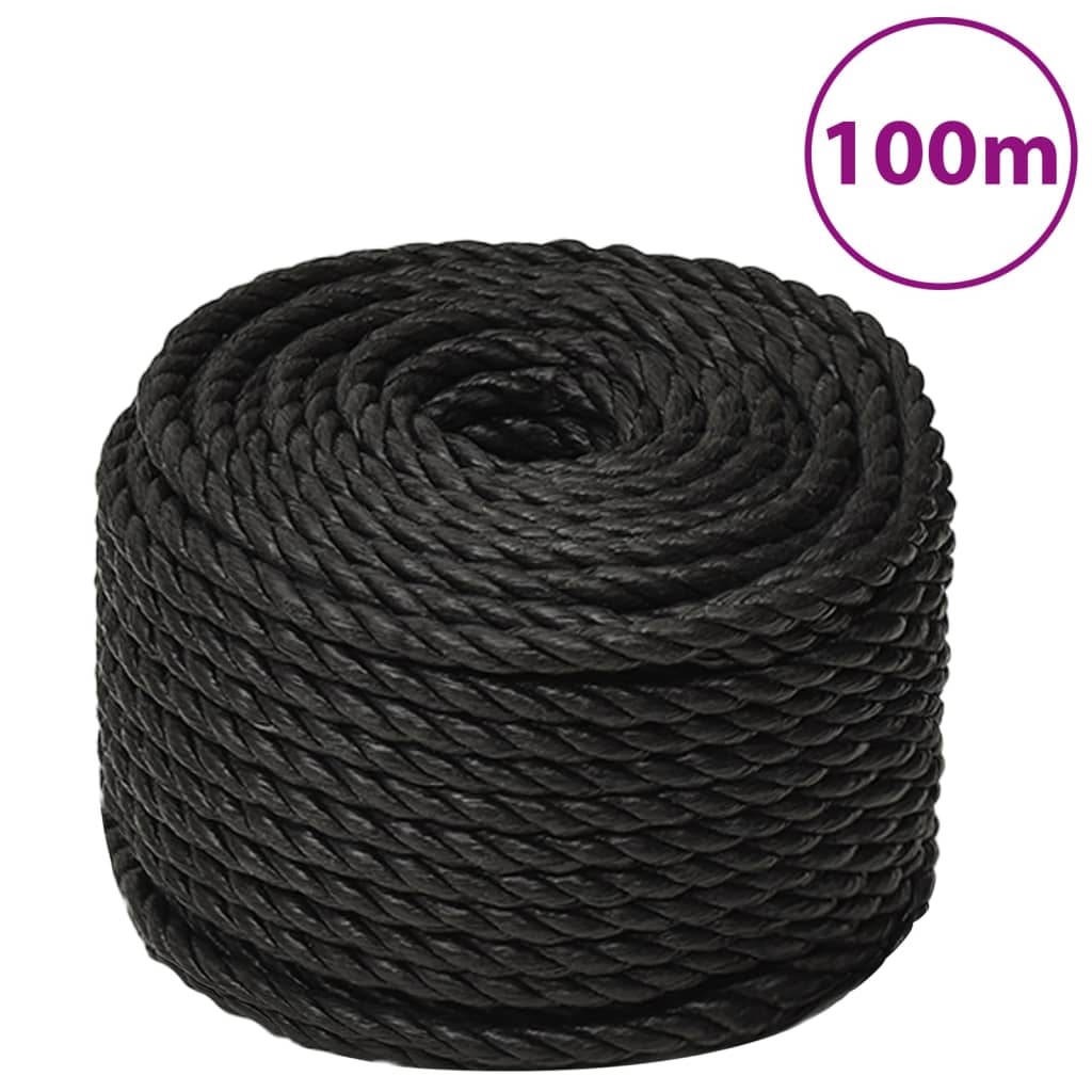 Vidaxl werkouw 12 mm 100 m Polroprope schwaarz