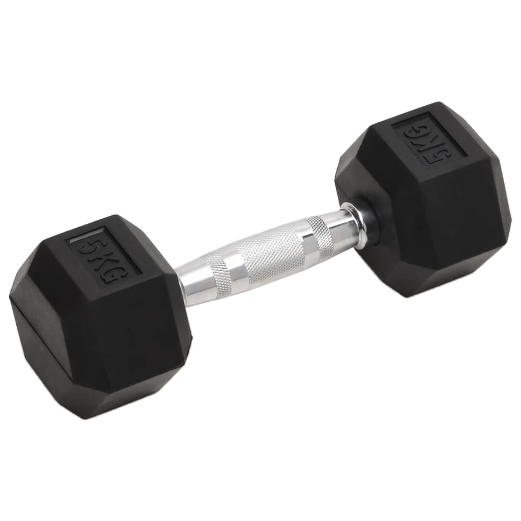 Vidaxl Halters 2 pcs 10 kg cast iron