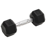 Vidaxl Halters 2 pcs 10 kg cast iron