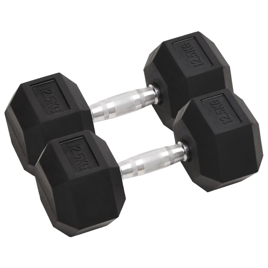 Vidaxl Halters 2 ST 25 kg in ghisa