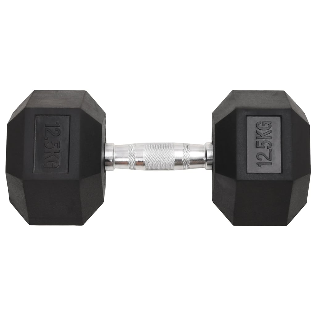 Vidaxl Halters 2 ST 25 kg in ghisa