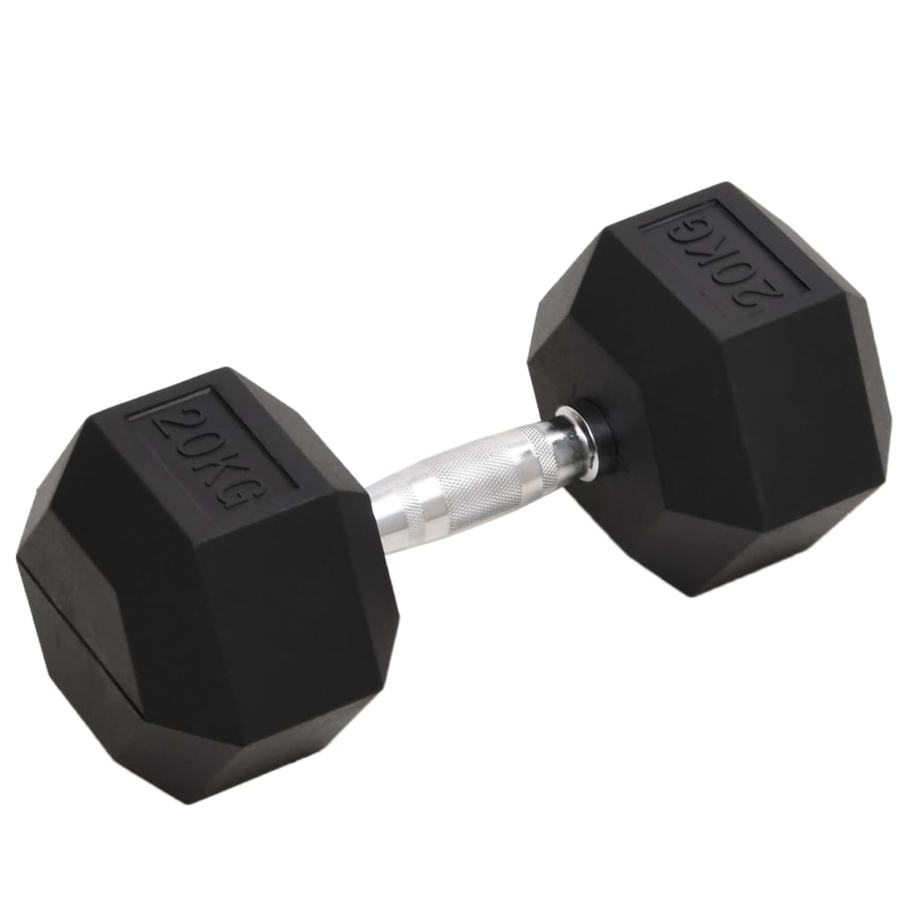 Vidaxl Halters 20 kg cast iron