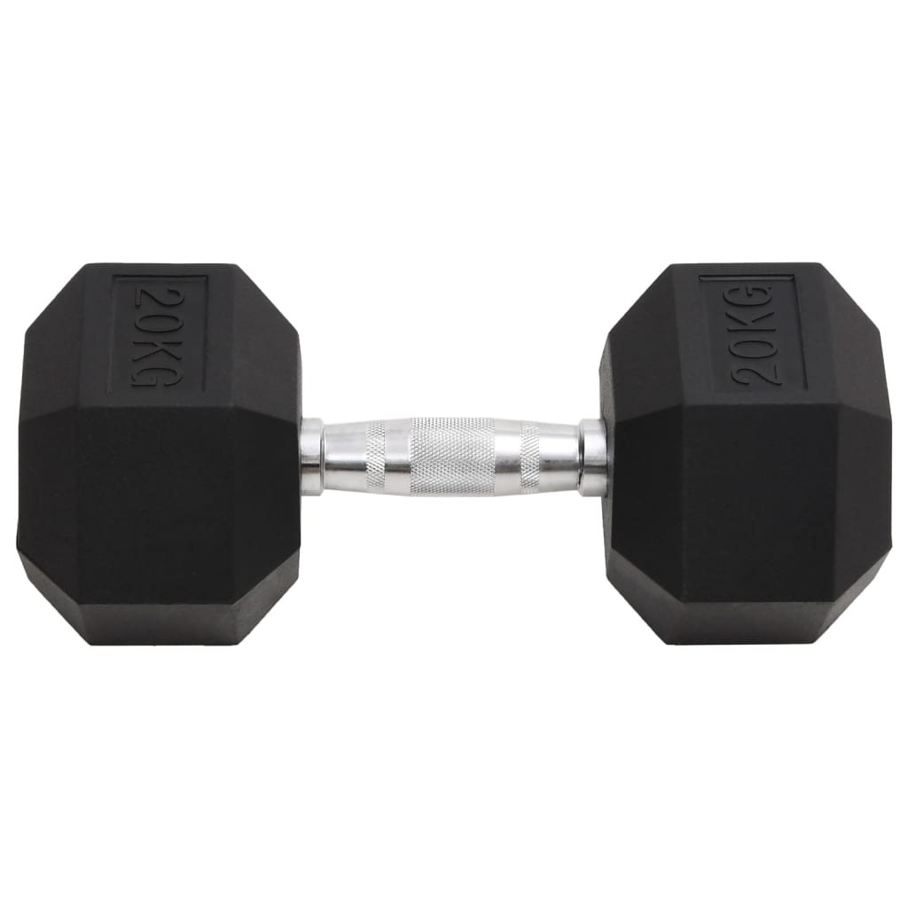 Vidaxl Halters 20 kg cast iron