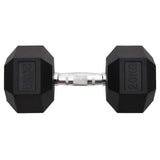 Vidaxl Halters 20 kg cast iron