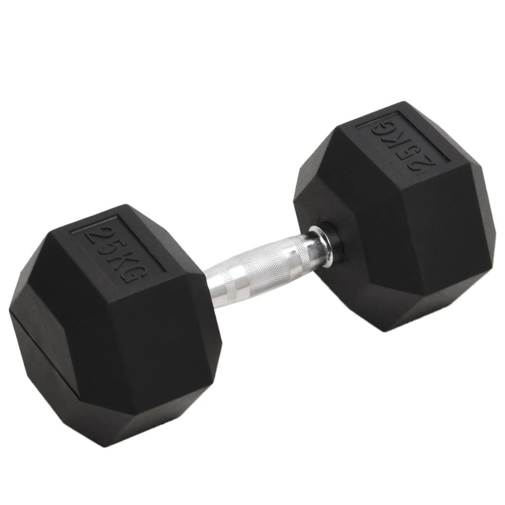 Vidaxl Halters 25 kg of cast iron