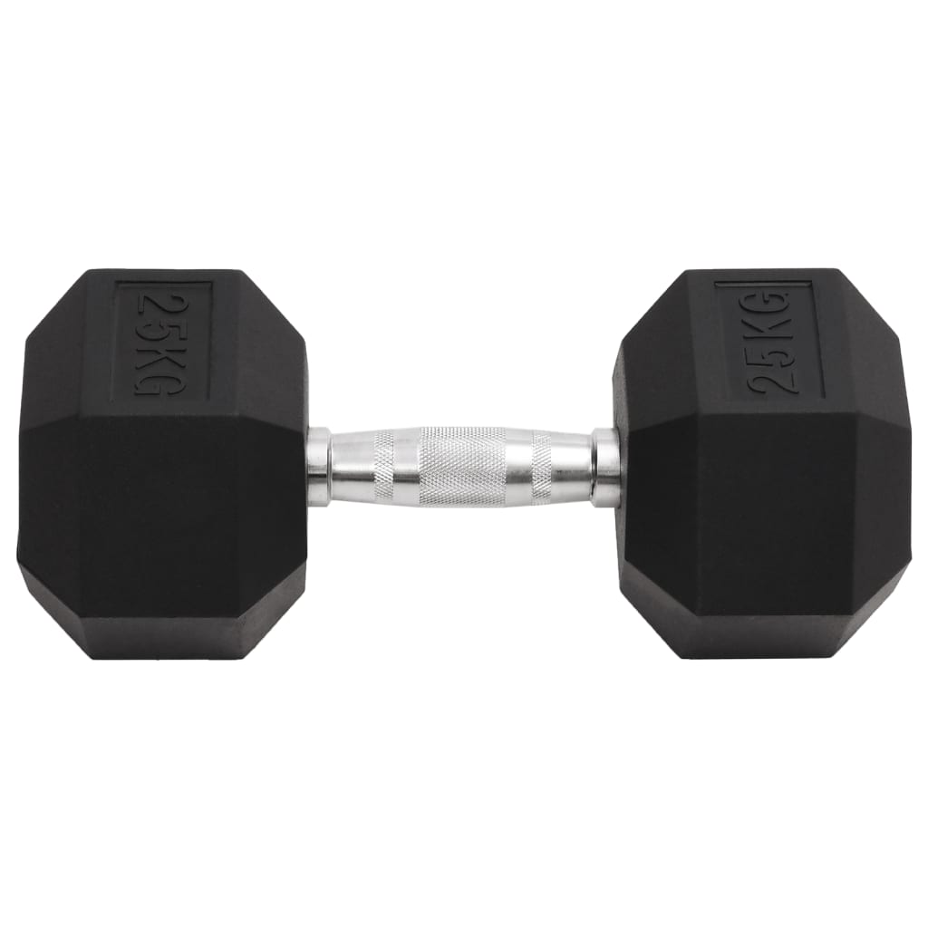 Vidaxl Halters 25 kg of cast iron