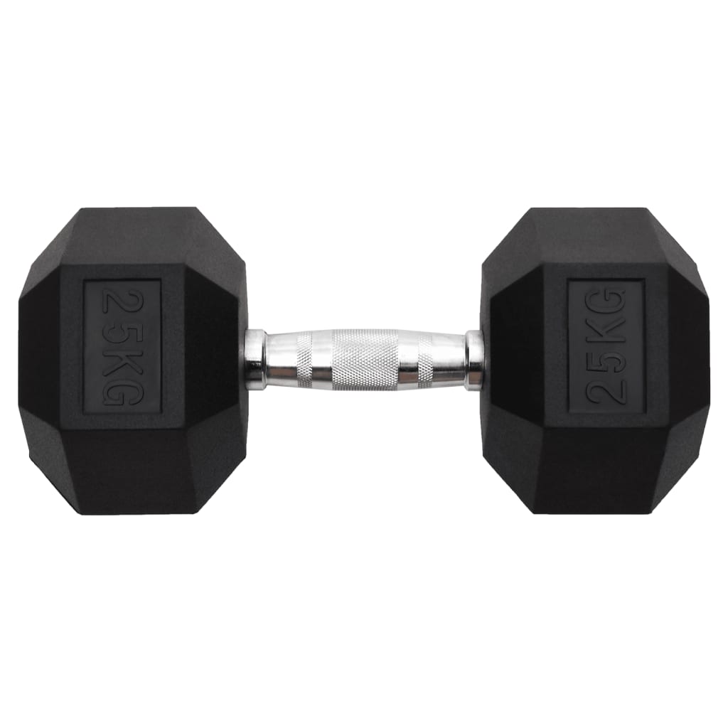 Vidaxl Halters 25 kg of cast iron