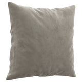 Vidaxl dekorative puter 2 st 40x40 cm fløyel lys grå