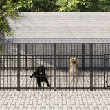 Vidaxl Chien Kennel avec toit 9,38 m² en acier