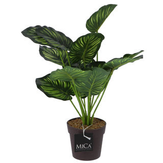 Mica Decorations art plant calathea in pot green 40 cm