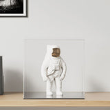 Vidaxl display trasparente 40x36x35 cm acrilico