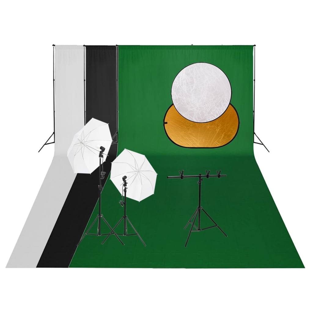 VidaXL Photo Studio Set with Lighting Set, Background and Reflector