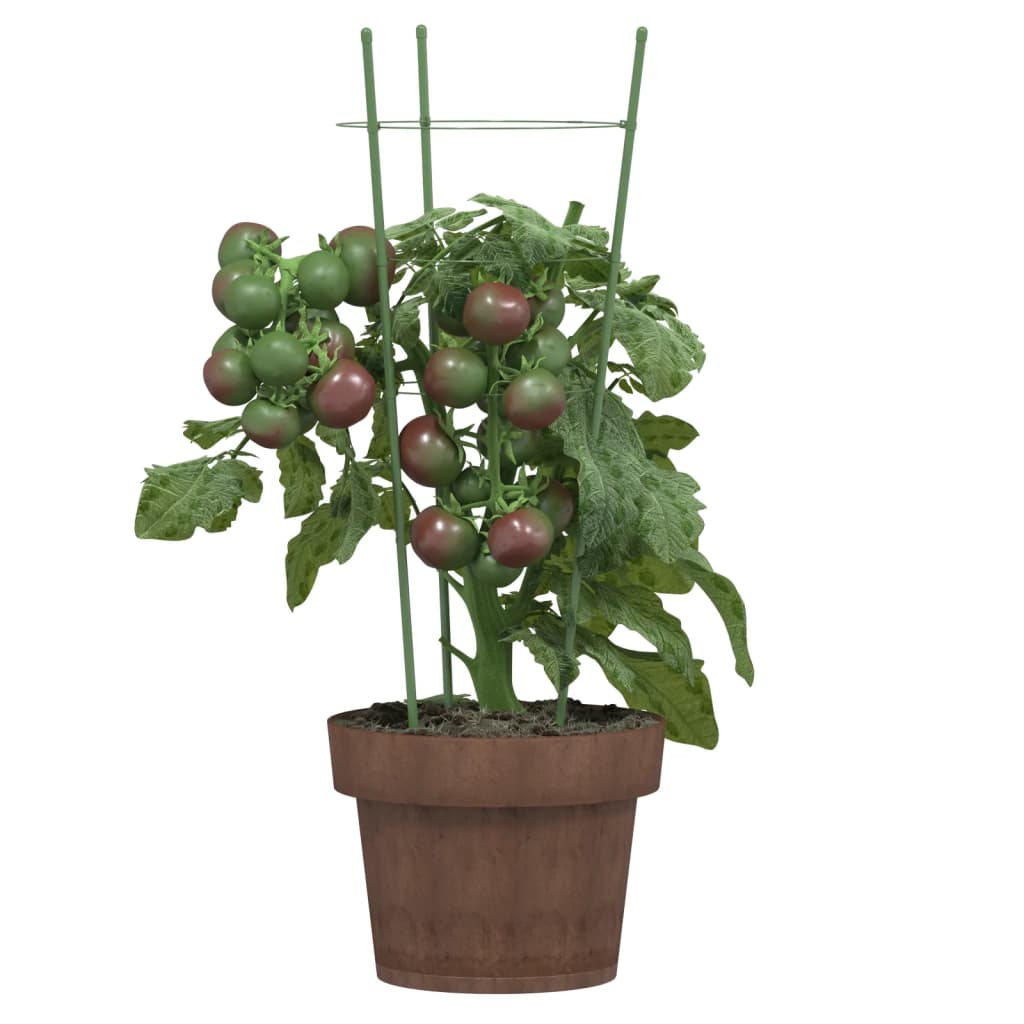 Vidaxl Plantrests 5 st with 3 rings 45 cm steel green