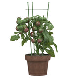 Vidaxl Plantrests 5 st with 3 rings 45 cm steel green