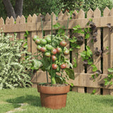 Vidaxl Plantrests 5 st with 3 rings 45 cm steel green