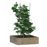 Vidaxl PlantRests 5 St s 3 obroči 75 cm jekleno zeleno