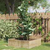 Vidaxl PlantRests 5 St s 3 obroči 75 cm jekleno zeleno