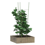 Vidaxl PlantRests 5 St s 4 obroči 90 cm jekleno zeleno
