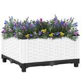 Vidaxl Planter je dvignil 40x40x23 cm polipropen