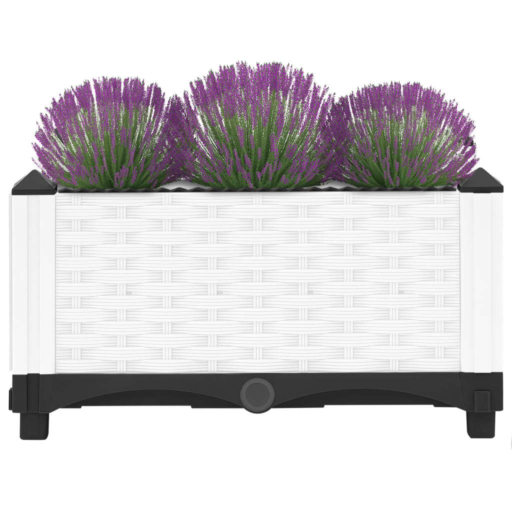 Vidaxl Planter je dvignil 40x40x23 cm polipropen