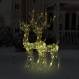 VidaXL Christmas decorations reindeer 2 pcs 120 cm acrylic warm white