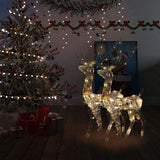 VidaXL Christmas decoration reindeer 2 pcs multi-coloured 120 cm acrylic
